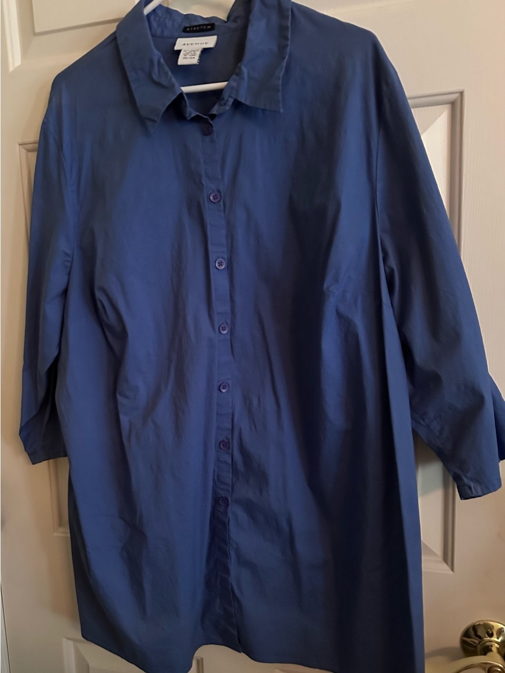 Avenue Button-Front Collared Shirt - Blue